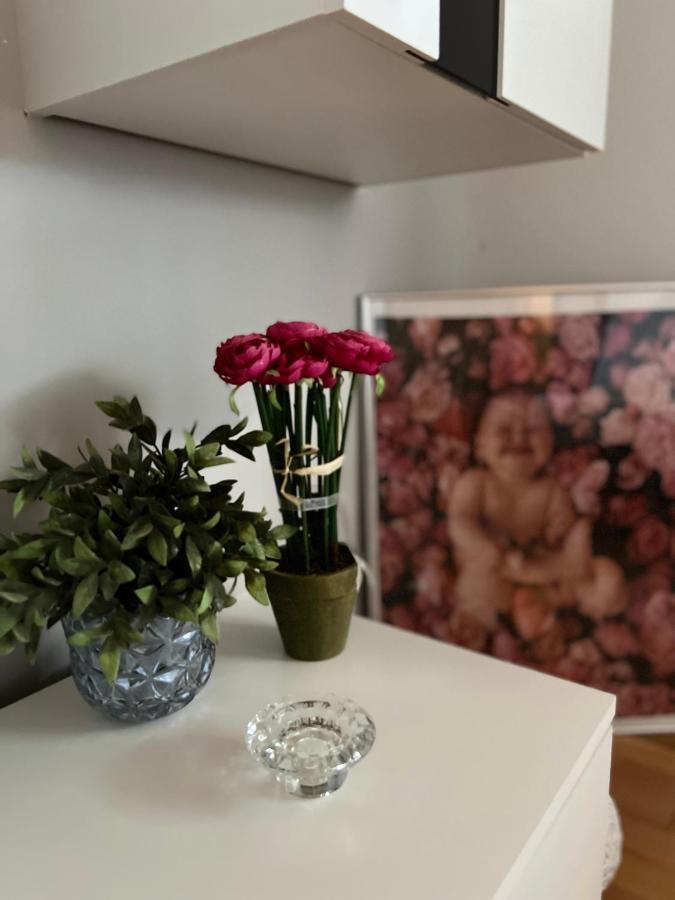 Apartman Tunja ヴィル エクステリア 写真
